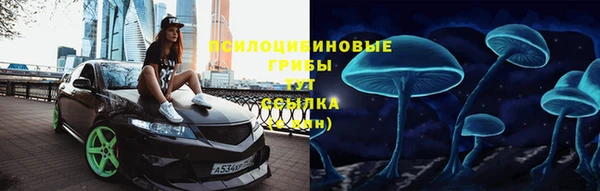 СК Беломорск