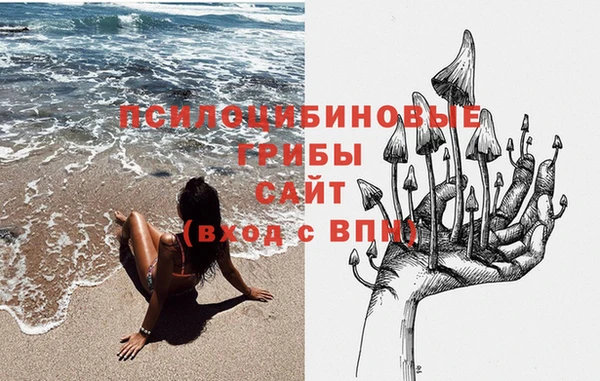 СК Беломорск