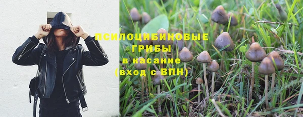 соль курить ск Белокуриха
