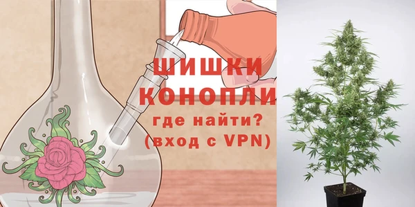 СК Беломорск