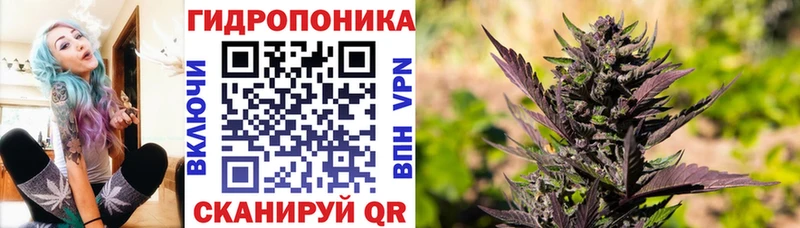 Канабис LSD WEED Болотное